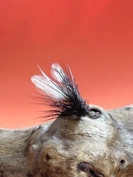 User submitted picture: While sitting at my fly t...