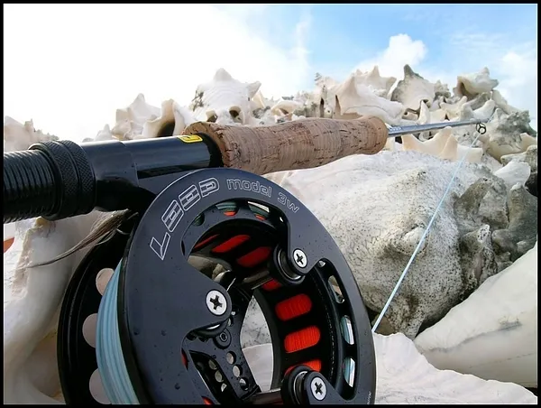 User submitted picture: Gear