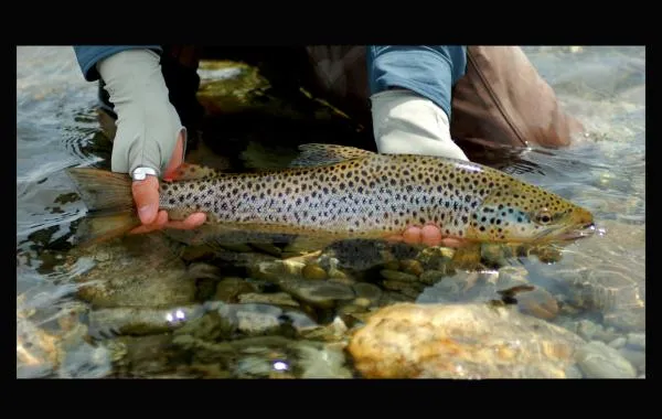 User submitted picture: beauty...