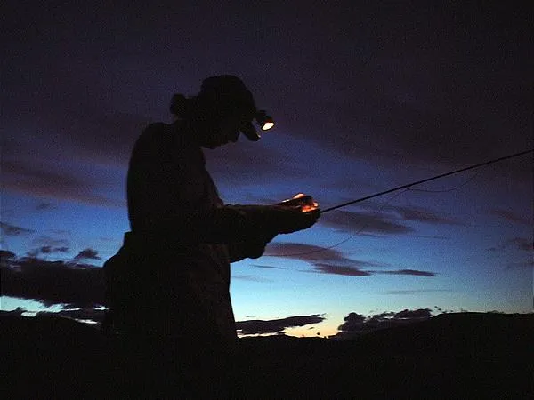 User submitted picture: The Fly Fisher is looking...