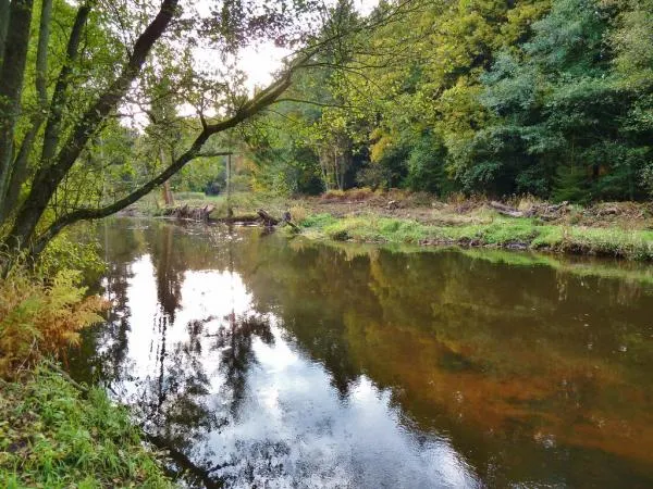 User submitted picture: mystery peaty water in fa...