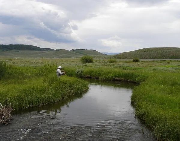 User submitted picture: Stalking cutthroats