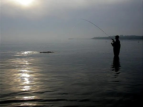 User submitted picture: Fighting in the sparse li...