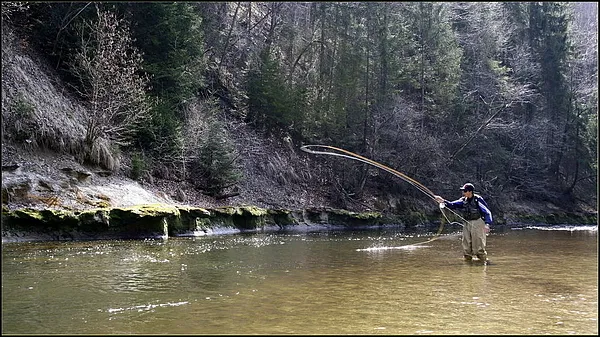 User submitted picture: switch-cast