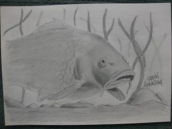 User submitted picture: When they do not want to ...