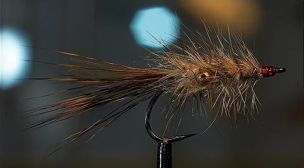 User submitted picture: Little Bug for the seatro...