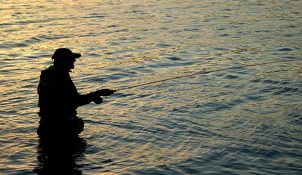 User submitted picture: NIkon D50,lens Sigma 28-7...