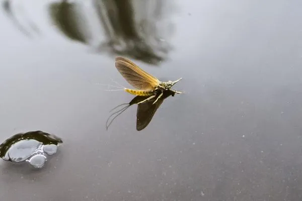 User submitted picture: Hendrickson