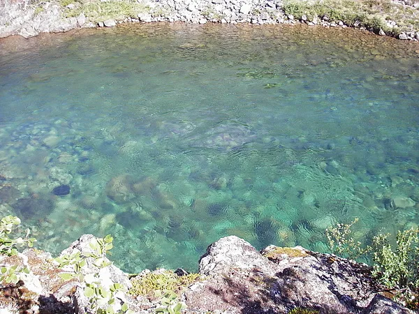 User submitted picture: .....like teardrop